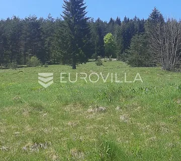 Saborsko, građevinsko zemljište 9240 m², 1 km do Plitvičkih Jezera - cover
