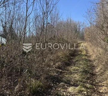 Istra, Karojba - građevinsko zemljište uz cestu 670 m2 - Novaki Motovunski, Karojba