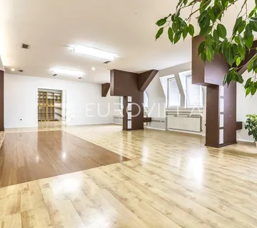 Strogi centar, funkcionalan poslovni prostor za zakup 240 m² garažna i parking mjesta po potrebi - Zagreb