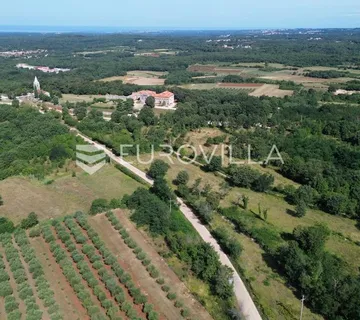 Istra, Višnjan, poljoprivredna parcela 8250 m², prekrasna lokacija - cover