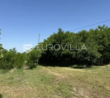 Osijek, Bilje, na prodaju građevinsko zemljište površine 25.000 m² - cover