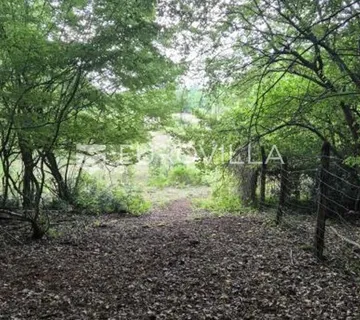 Kaštelir, Cerjani, poljoprivredno zemljište 24.118 m² s vlastitom šumom - Cerjani, Kaštelir - Labinci