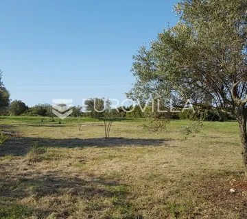 Istra, Rovinjsko selo, 6599m2 poljoprivredno zemljište  s manjim gospodarskim objektom - cover