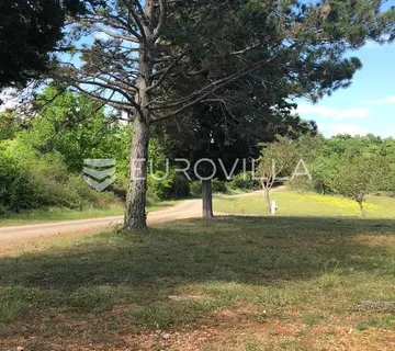 Istra, Sveti Lovreč okolica, građevinsko 538m2 i poljoprivredno zemljište ukupne površine 48294m2 - Medvidići, Sveti Lovreč Pazenatički