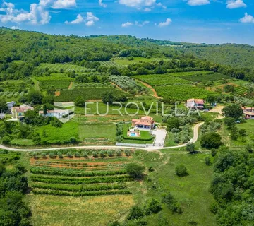 Istra, Rakotule - zemljište 10100m2, T2 namjene, djelom građevinsko, pogled na Motovun - Rakotule, Karojba
