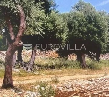 Pag, Lun, građevinsko zemljište 650 m² - cover