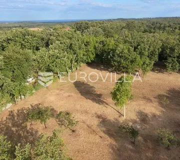 Istra, Tinjan, Građevinsko zemljište 3623 m²