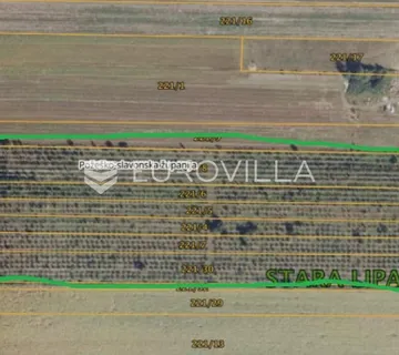 Požega, Stara Lipa, prostrano poljoprivredno zemljište 44 058 m² - cover