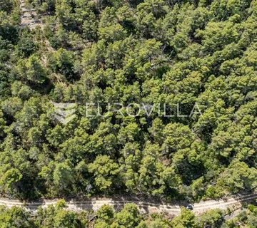 Otok Korčula, Blato, predio Brščanovica, veliko poljoprivredno zemljište - cover