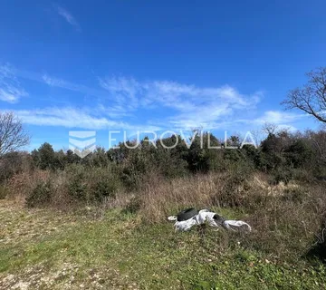 Istra, Šišan, poljoprivredno zemljište 450 m² - cover