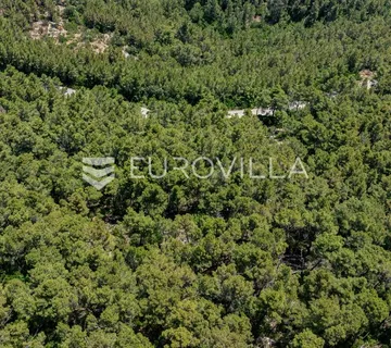 Otok Korčula, Blato, predio Ančinovo, veliko poljoprivredno zemljište - cover