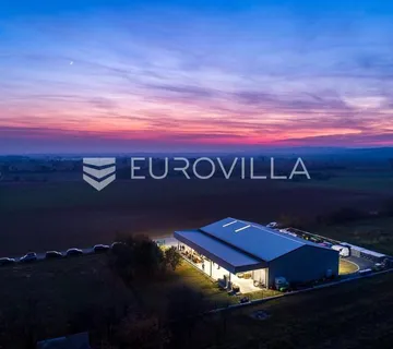 Kneževi Vinogradi, Zmajevac, opremljena i uhodana vinarija - Zmajevac, Kneževi Vinogradi