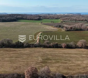 Istra, Poreč, poljoprivredno zemljište 14.824 m² - Fuškulin, Poreč