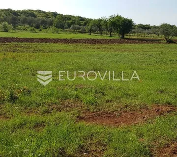 Istra, Rovinjsko selo, poljoprivredno zemljište 7217m2 - cover