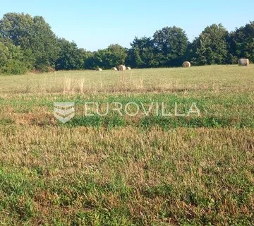 Istra, Svetvinčenat, poljoprivredno zemljište 8182 m²