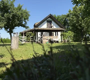 Osijek, Bilje, prodaje se uređena kuća u rustikalnom stilu na parceli od 25.000 m²