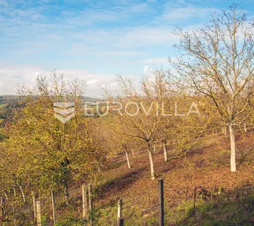 Sveti Petar Orehovec, Zaistovec, građevinsko zemljište 5611 m² - Zaistovec, Sveti Petar Orehovec