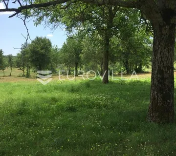 Poreč, veliko građevinsko zemljište NKP 8289 m2, više građevinskih parcela pravilnog oblika