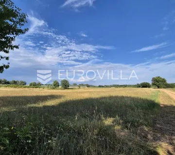 Kaštelir, Cerjani, poljoprivredno zemljište 32619 m² - cover