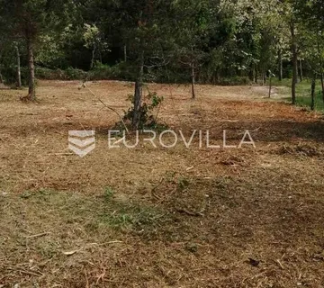 Istra, okolica Labina, građevinsko zemljište 3000 m2