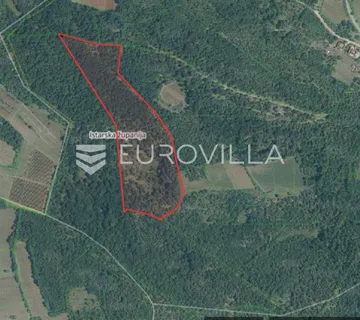 Istra, okolica Višnjana, poljoprivredno zemljište 44600 m² s puno potencijala - Legovići, Višnjan