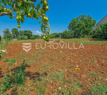 Istra, Novigrad, građevinsko zemljište od ukupno 1119m2