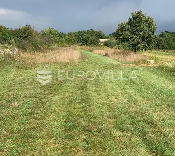 Istra, Svetvinčenat - građevinsko zemljište 503 m2 s privatnim putem, blizina infrastrukture - Režanci