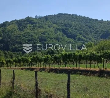 Cerovlje, Draguć, atraktivno prostrano građevinsko zemljište