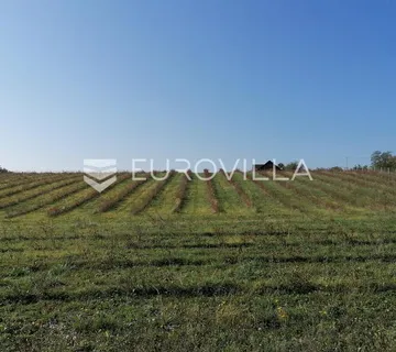Vrhovina, posjed površine 6 ha, ODLIČNA INVESTICIJA - Vrhovina, Garčin