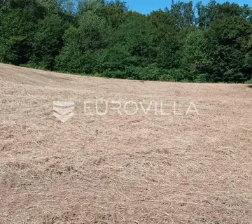 Duga Resa, Pećurkovo Brdo, građevinsko zemljište 4400 m2, mirna lokacija - cover