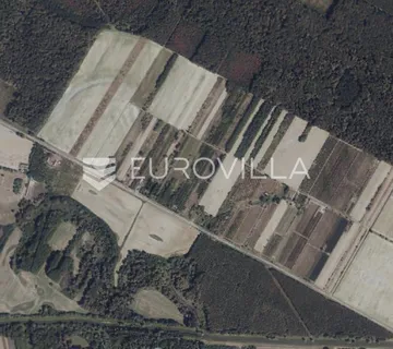 Petrijevci, prodaja poljoprivrednog zemljišta s nasadima krušaka, površine 36.028 m²