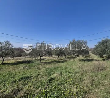 Istra, Bale, građevinsko i poljoprivredno zemljište s pogledom na more - cover