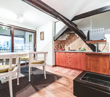 Zagreb, Srebrnjak, dva lijepo uređena stana, 164 m²