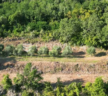 Istra, Motovun, građevinsko zemljište s pogledom na povijesne gradove - cover