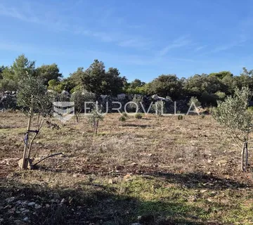Šolta, Gornje Selo, poljoprivredno zemljište s maslinikom površine 2.653 m² - Gornje Selo, Šolta