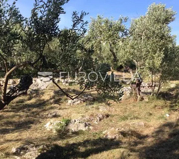 Pašman, Ždrelac, atraktivno građevinsko zemljište prvi red do mora, 571 m² - Ždrelac, Pašman