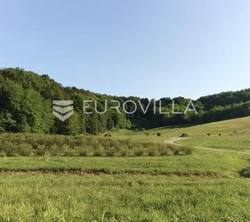 Novi Marof, Gornje Makojišće, poljoprivredno zemljište 4757 m² za eko proizvodnju - Gornje Makojišće, Novi Marof