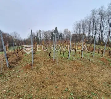 Duga Resa, Galović Selo, poljoprivredno zemljište 1400 m2 s vinogradom