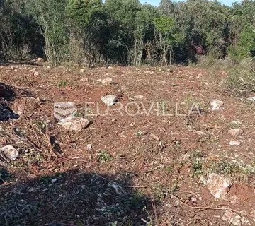 Marčana, Kavran, poljoprivredno zemljište 1600 m2 - Kavran, Marčana