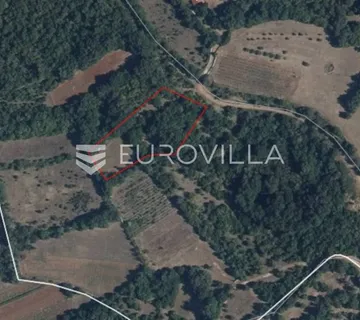 Istra, Šajini, poljoprivredno zemljište 4360m2 - cover