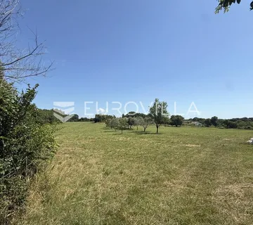 Ližnjan, Muntić, Prostrano kombinirano zemljište 5350 m² na mirnoj lokaciji - Muntić, Ližnjan
