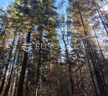 Vrbovsko, Lukovdol, poljoprivredno zemljište 31000 m², mogućnost gradnje - cover