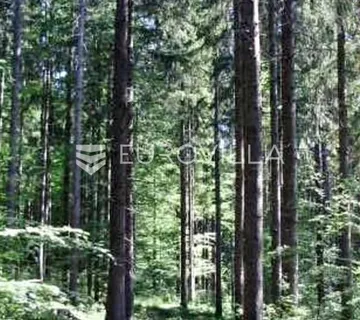 Ravna Gora, poljoprivredno zemljište 3496 m², pogodno za eksploataciju šume - Kupjak, Ravna Gora