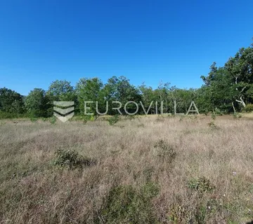 Istra, Baderna, poljoprivredno zemljište 12.120m2 - Baderna, Poreč