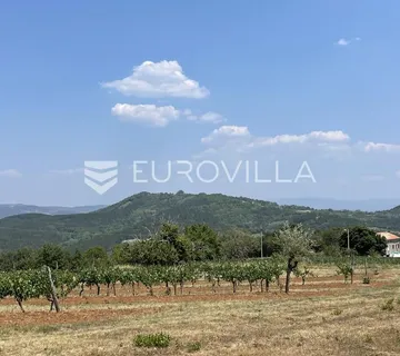 Istra, Rakotule, jedinstveno građevinsko zemljište s pogledom na Motovun - Rakotule, Karojba