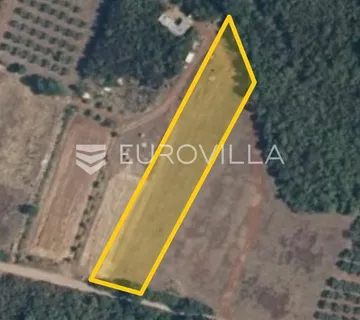 Istra, Muntić poljoprivredno zemljište u blizini centra - Muntić, Ližnjan