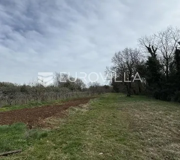 Istra, Filipana- Građevinsko zemljište na lijepoj lokaciji - Filipana, Marčana