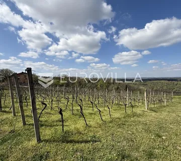 Batina, zemljište s vinogradom i predivnim pogledom, 3274 m²