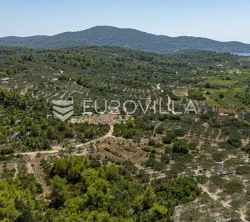 Otok Korčula, Vela Luka, poljoprivredno zemljište 980 m²