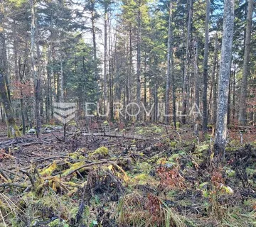 Bosiljevo, poljoprivredno zemljište 12800 m² uz autocestu